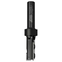 653.701.11 Straight bit wknives Z1+1S=20x49.5 RH-SP-CMT بنطة مستقيمة مع سكاكين قابلة للاستبدال